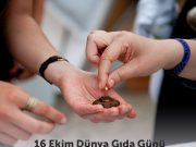 Dünya Gıda Günü: Çözüm Dayanışma