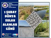 Su, sulak alanlar ve yaşam ayrılmaz bir bütündür