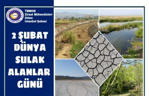 Su, sulak alanlar ve yaşam ayrılmaz bir bütündür