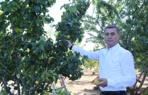 Gölbaşı Belediyesi’nden çiftçiye %75 hibe buğday desteği